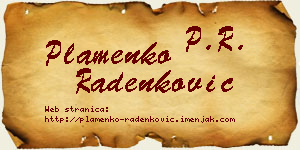 Plamenko Radenković vizit kartica